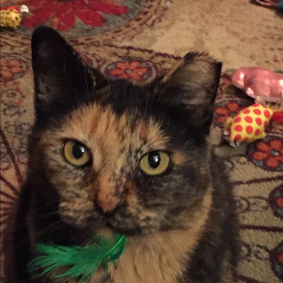 Meet your Posher, Rockergirl68 - Picture 10 of 12